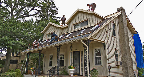 Best Roof Gutter Cleaning  in Grasonville, MD
